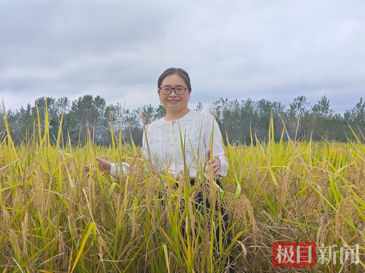 何玉池稻田照片6.jpg